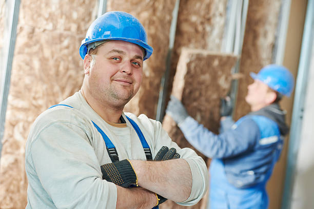 Best Insulation Inspection Services  in Fargo, ND
