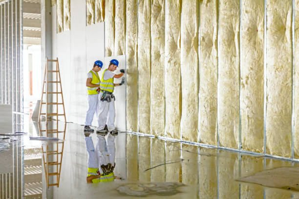 Best Local Insulation Services  in Fargo, ND